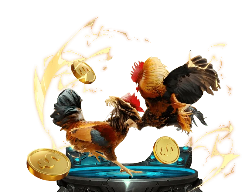 Người chơi đang tận hưởng trò chơi trên 5win